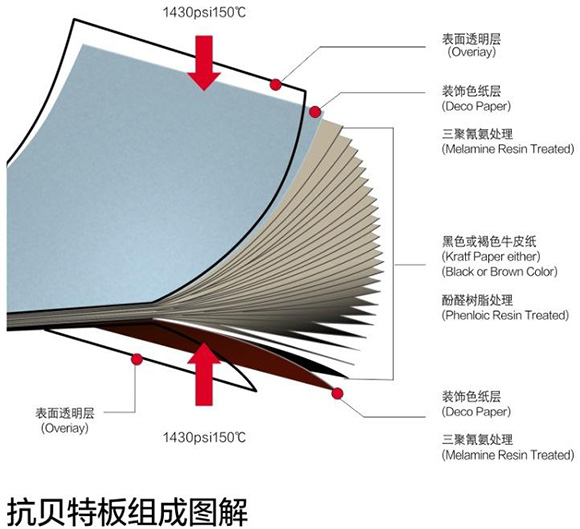 黄瓜视频APP免费下载抗倍特板組成圖解 黄瓜视频APP免费下载抗倍特板組成圖解